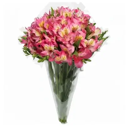 Buquê de Astromélias