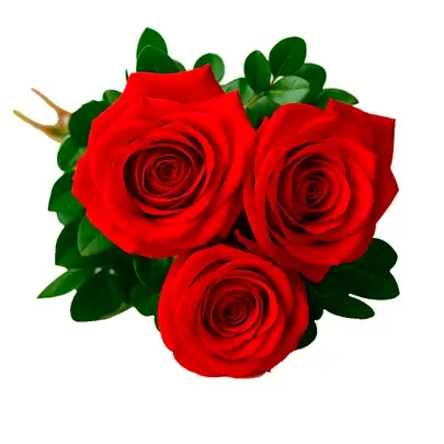 Buquê de Rosas Vermelhas